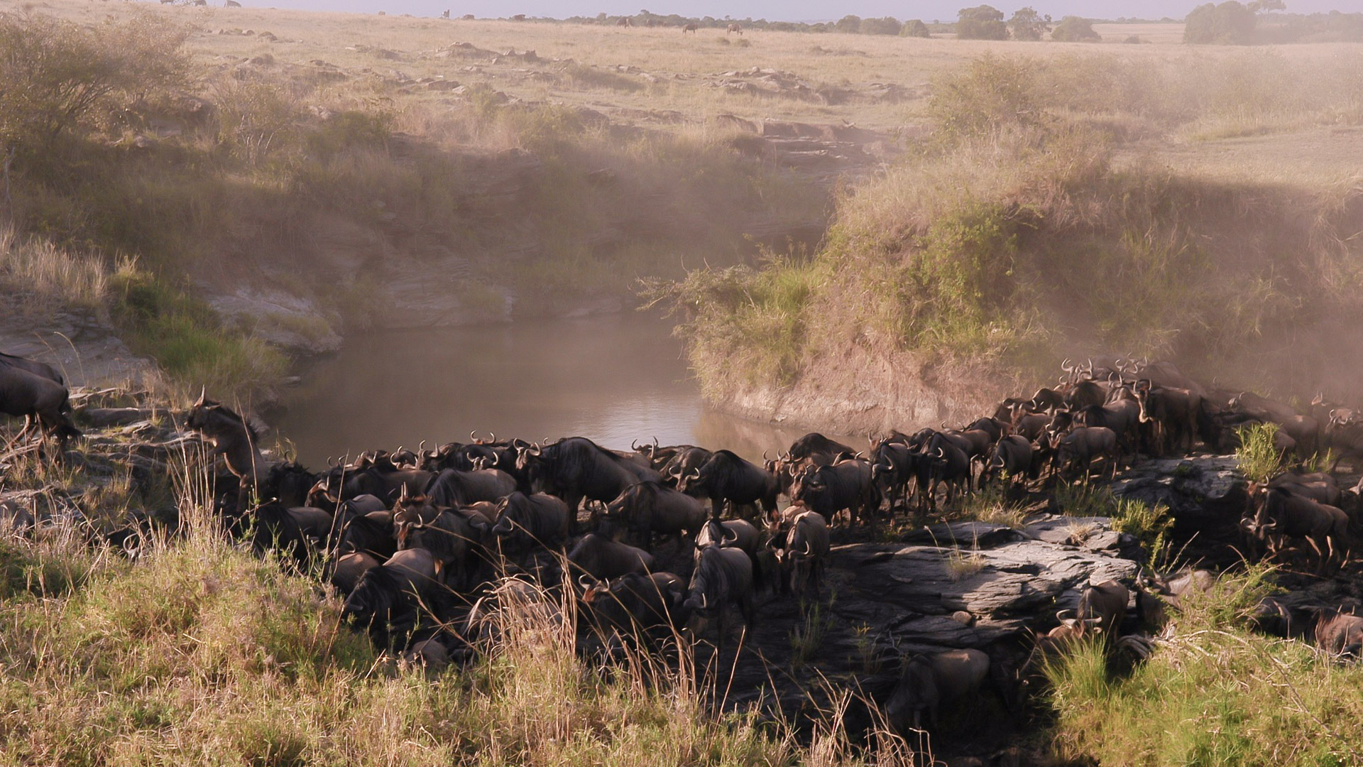 Botswana Safaris Semunyeni