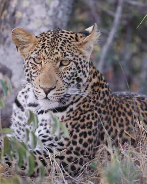 Semunyeni_instagram (121 of 140)